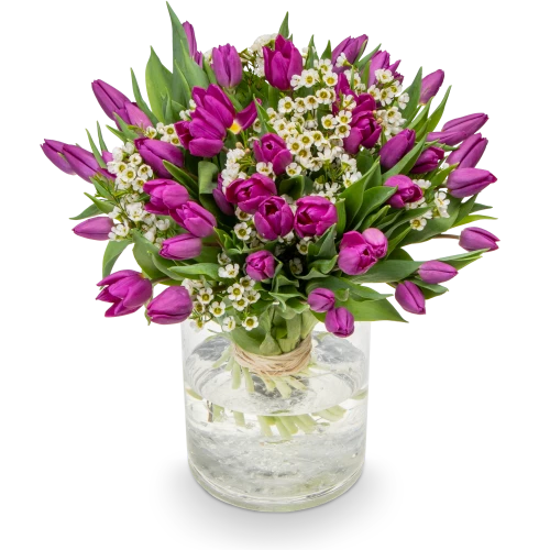 Kytice fialových  tulipánů